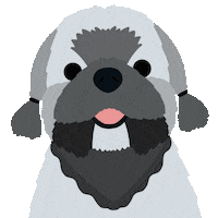 Shihtzu Sticker