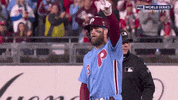 World Series Baseball GIF by MLB