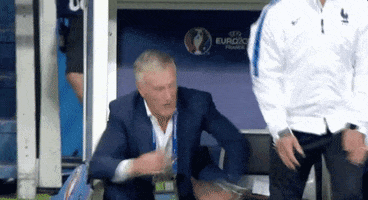 euro 2016 GIF by Sporza