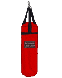 Fight Gym Sticker