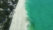 Summer Beach GIF by DEEPSYSTEM