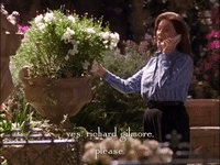 season 2 netflix GIF by Gilmore Girls 