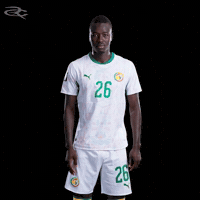 Fifa World Cup Caf GIF by Respective