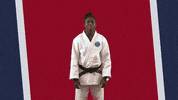 France Yes GIF by Paris Saint-Germain Judo