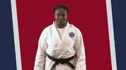 France Sport GIF by Paris Saint-Germain Judo