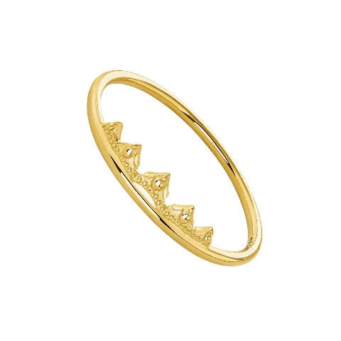 aristocrazy  GIF