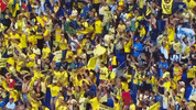 clubamerica celebration fans club america GIF