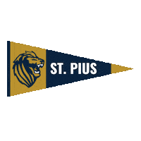 High School Football Sticker by GPB Sports