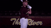 PRCCAthletics wildcats mississippi juco prcc GIF