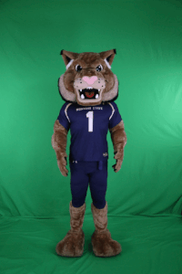 champ gocatsgo GIF by MSU Bobcats