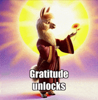 Joy Gratitude GIF by dalaillamazen