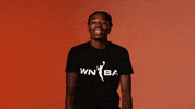 Natasha Howard What GIF by WNBA