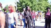 College Student GIF by Western Illinois University