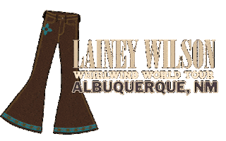 New Mexico Albuquerque Sticker by Lainey Wilson