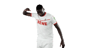 serhou guirassy soccer Sticker by 1. FC Köln
