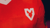 Logo Esports GIF by BLAST