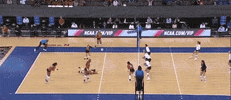 Volleyball Texas GIF by NCAA Championships