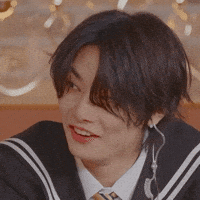 Stray Kids Skz GIF