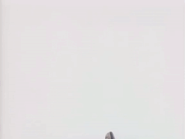 the adventures of pete and pete season number GIF