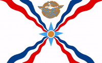 ayfamerica america youth assyrian mesopotamia GIF