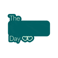 Wedding Marriage Sticker by Zola