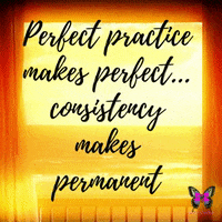 Smz Practice Makes Perfect GIF