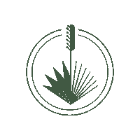 Mezcal Agave Sticker by Maguey Spirits
