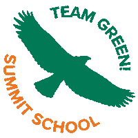summitschoolws team green summitschoolws summit school summit team green Sticker
