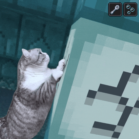 SingNO2 giphyupload komaru minecraft cat GIF