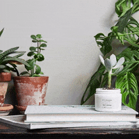 Botanics  GIF