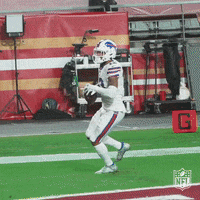 Football Sport GIF by NFL