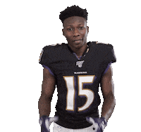 Baltimore Ravens Football Sticker by NFL