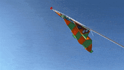 Carnaval Kruikenstad GIF by Dutsch Workwear