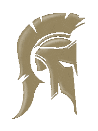 Helmet Sticker by SC Braga