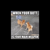 power bottom GIF