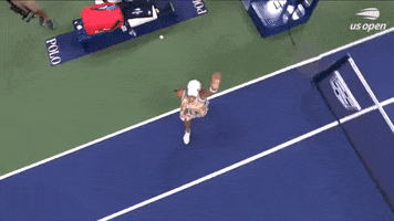 Us Open Tennis Sport GIF by US Open
