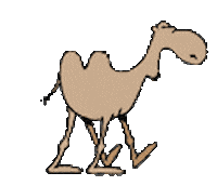 camel STICKER