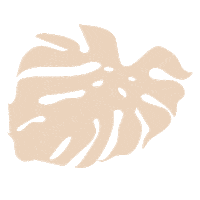 Rose Plant Sticker