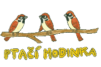 birdlife_cz bird birds brown branch Sticker