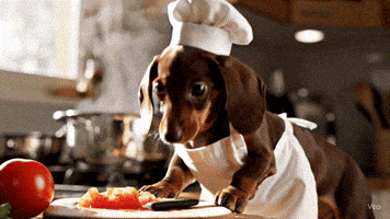 Dog Cooking GIF