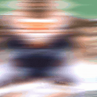 Brisbane Broncos Nrl GIF