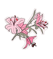 Flower Aging Sticker