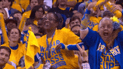 Golden State Warriors Dancing GIF by NBA