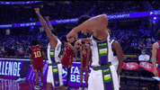 Giannis Antetokounmpo Sport GIF by NBA