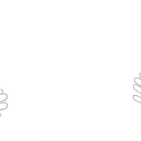 luamarinho flower bloom flor blooming GIF