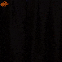 Good Morning Reaction GIF by Hyper RPG