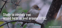 GIF by University of Toronto Scarborough (UTSC)