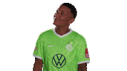 Check This Out Look Here Sticker by VfL Wolfsburg