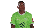 Check This Out Look Here Sticker by VfL Wolfsburg