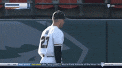 Kevin Abel GIF by Oregon State Baseball